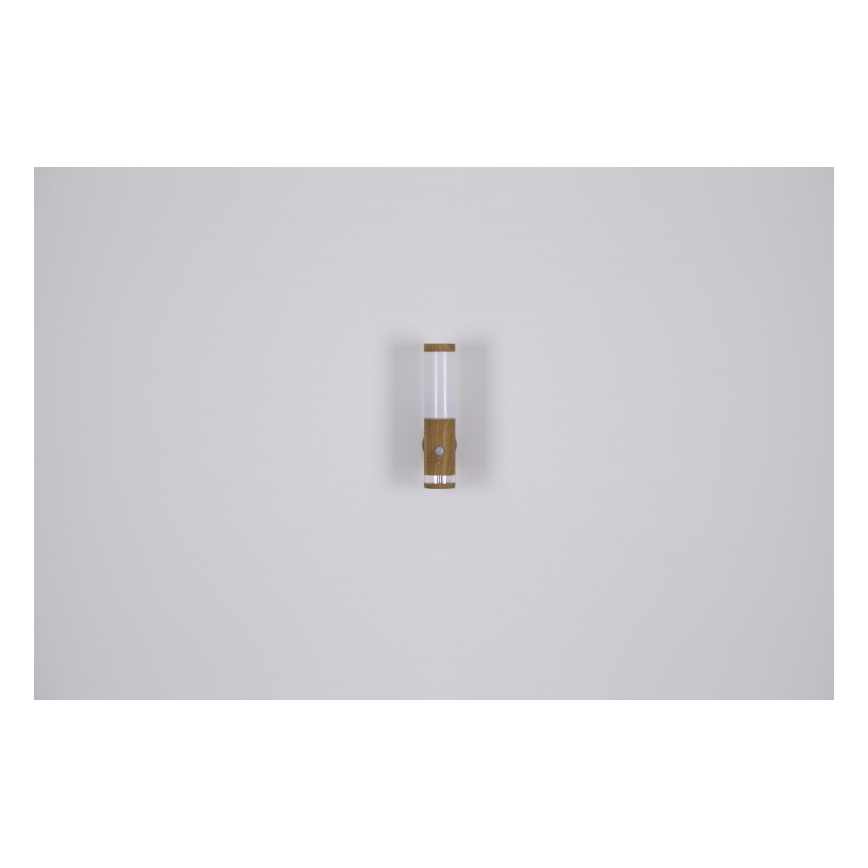 Globo - Utomhusbelysning  med sensor  1xE27/15W/230V IP44