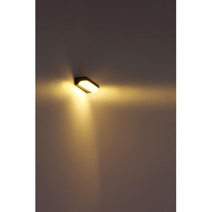 Globo - Utomhus LED vägglampa  LED/20W/230V IP54