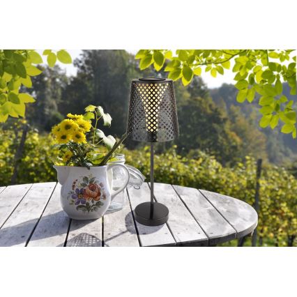 Globo - LED Solcellslampa LED/0,06W/3V IP44