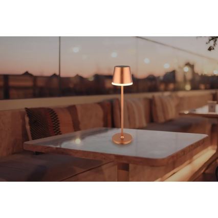 Globo - LED Solcellsbelysning LED/0,6W/3V 3000K IP44 1200 mAh koppar