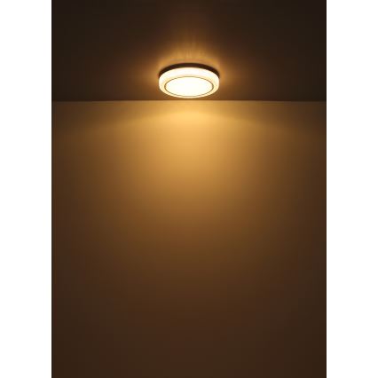 Globo - LED taklampa LED/24W/230V diameter 40 cm 3000K vit