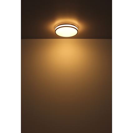 Globo - LED RGBW Dimbar taklampa LED/18W/230V 2700-6000K + fjärrkontroll