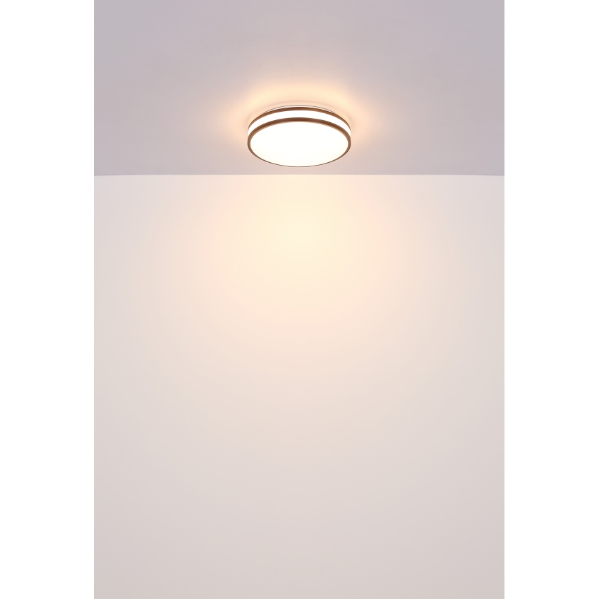 Globo - LED RGBW Dimbar taklampa LED/18W/230V 2700-6000K + fjärrkontroll