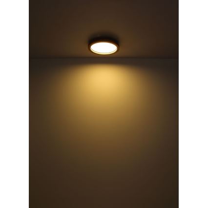 Globo - LED RGBW Dimbar taklampa LED/24W/230V 2700-6000K + fjärrkontroll