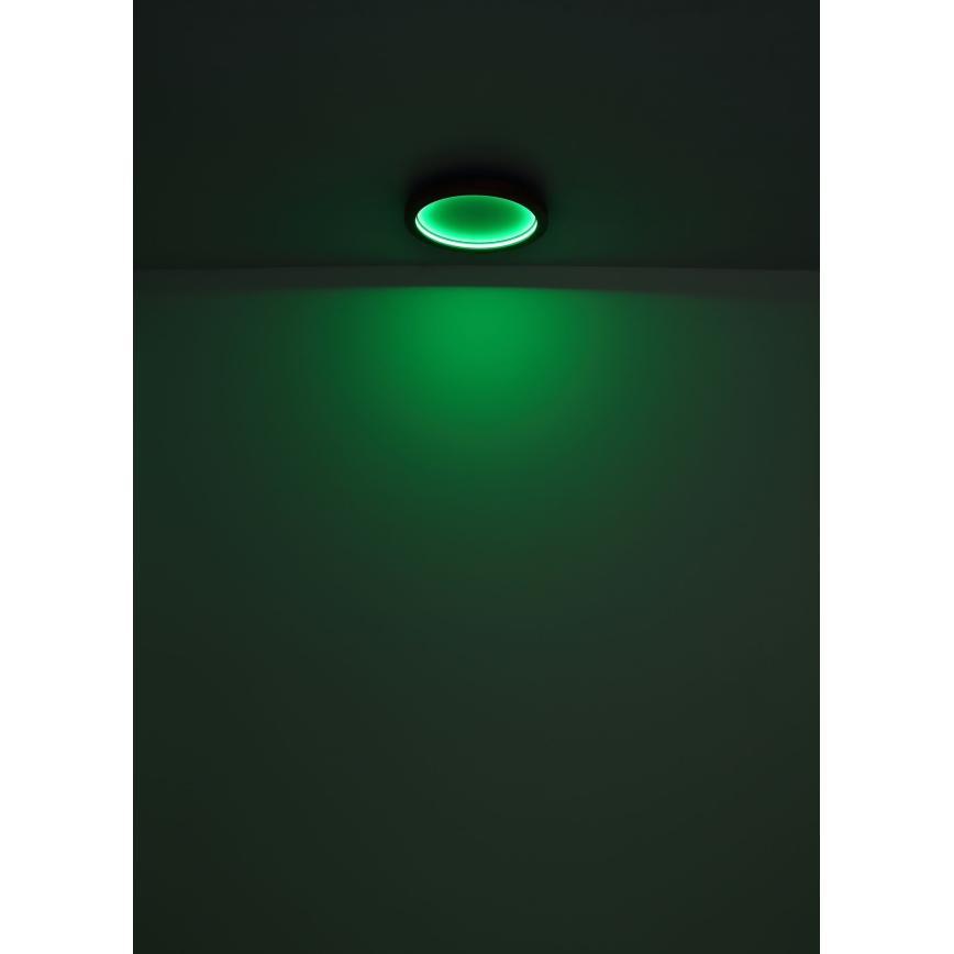 Globo - LED RGBW Dimbar taklampa LED/24W/230V 2700-6000K + fjärrkontroll