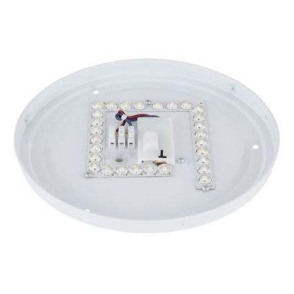 Globo - LED-taklampa LED/12W/230V 3000/4200/6500K Ø 26 cm