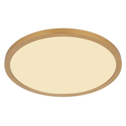 Globo - LED ljusreglerad taklampa till badrum LED/18W/230V 3000K IP44 diameter 29,4 cm mässing