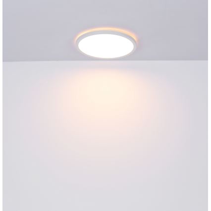 Globo - LED ljusreglerad taklampa till badrum LED/18W/230V diameter 29,4 cm IP44 vit
