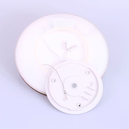 Globo - LED ljusreglerad taklampa till badrum LED/18W/230V diameter 29,4 cm IP44 brun