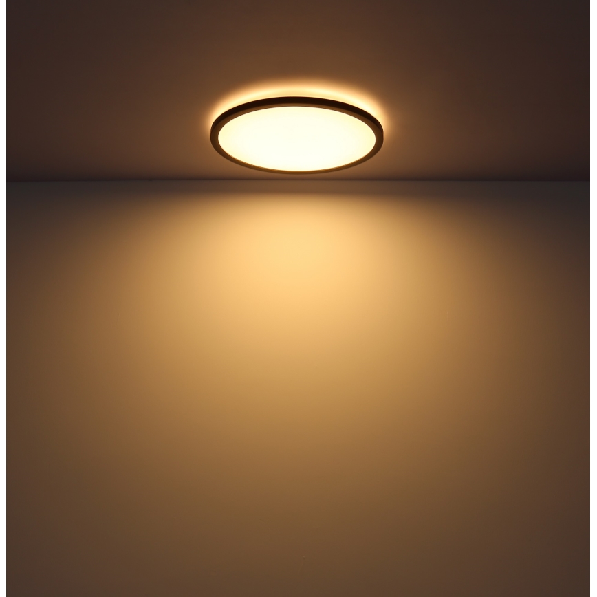 Globo - LED ljusreglerad taklampa till badrum LED/24W/230V diameter 42 cm IP44 svart