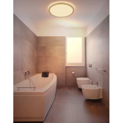 Globo - LED ljusreglerad taklampa till badrum LED/24W/230V 3000K IP44 diameter 42 cm mässing