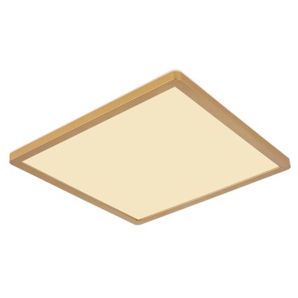 Globo - LED ljusreglerad taklampa till badrum LED/18W/230V 3000K IP44 29,4x29,4 cm mässing