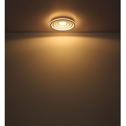 Globo - LED taklampa LED/24W/230V