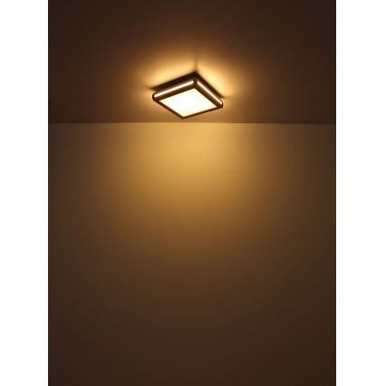 Globo - LED taklampa LED/12W/230V 30x30 cm