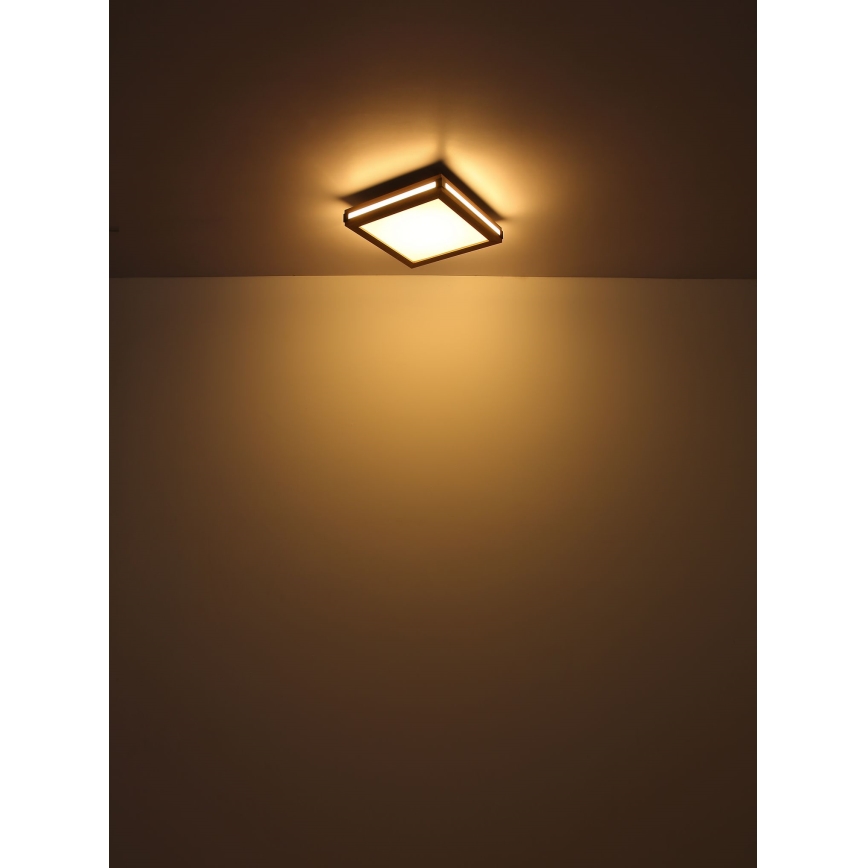 Globo - LED taklampa LED/12W/230V 30x30 cm