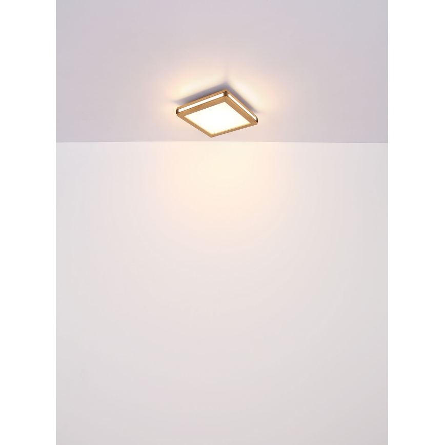 Globo - LED taklampa LED/12W/230V 30x30 cm