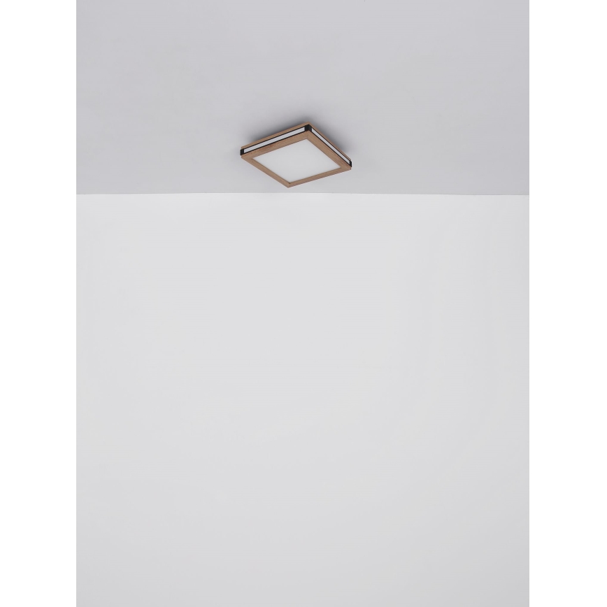 Globo - LED taklampa LED/12W/230V 30x30 cm