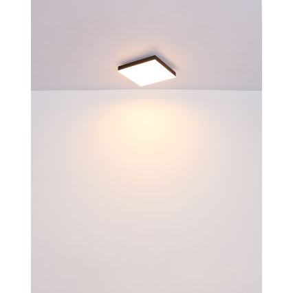 Globo - LED taklampa LED/18W/230V 30x30 cm svart