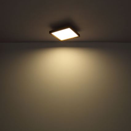 Globo - LED Taklampa LED/24W/230V 45cm 2700/4500/6500K