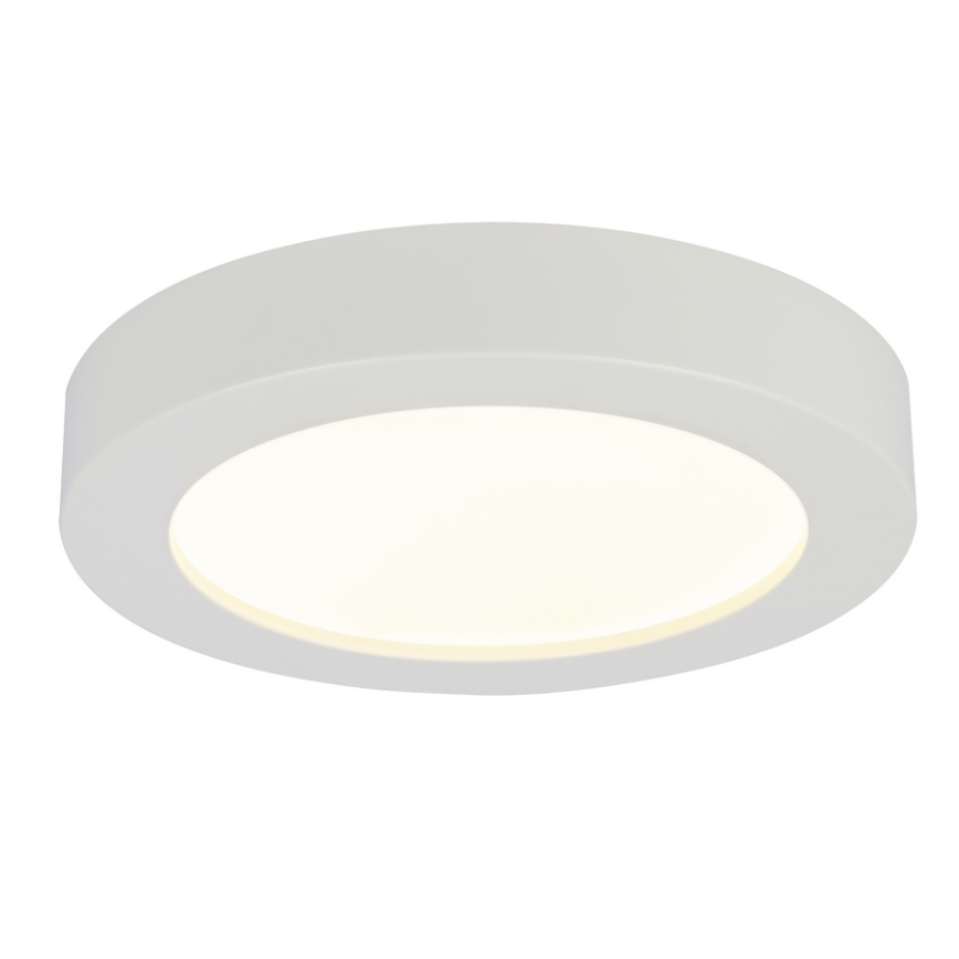 Globo - LED taklampa för badrum 1xLED/12W/230V
