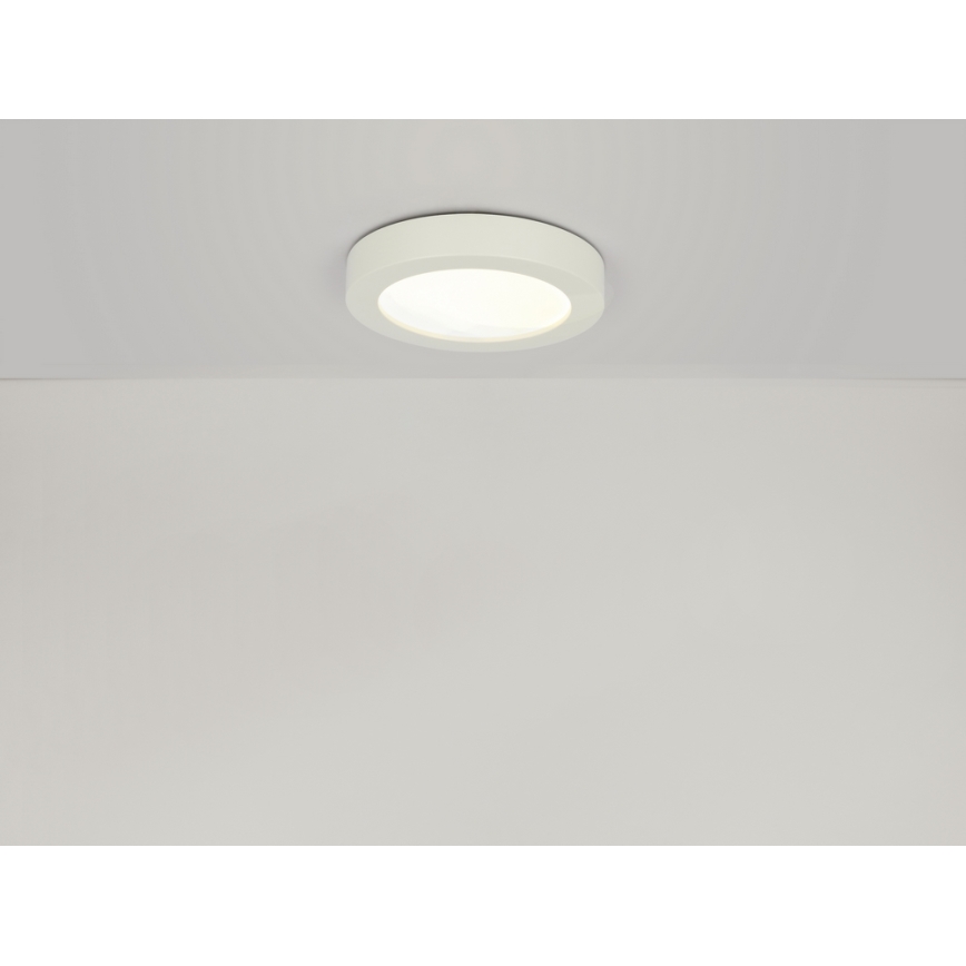 Globo - LED taklampa för badrum 1xLED/12W/230V