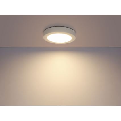 Globo - LED taklampa för badrum 1xLED/12W/230V