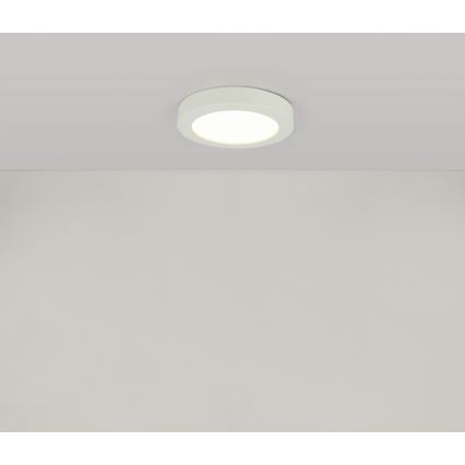 Globo - LED badrumstaklampa LED/18W/230V IP44
