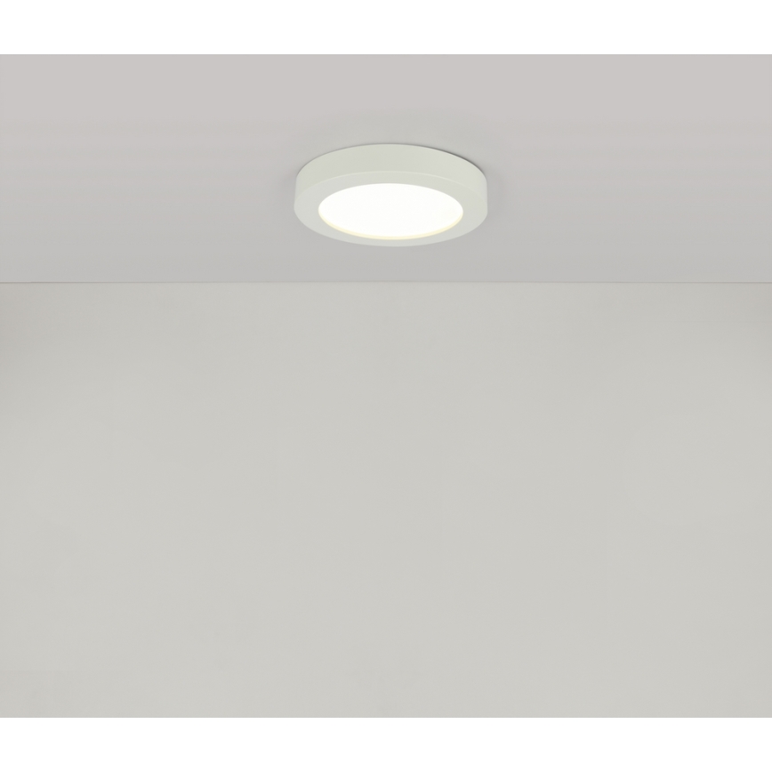 Globo - LED badrumstaklampa LED/18W/230V IP44