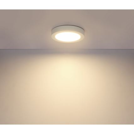 Globo - LED badrumstaklampa LED/18W/230V IP44