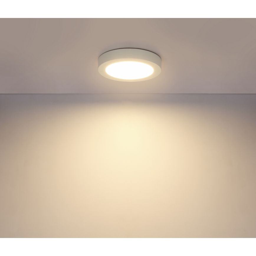 Globo - LED badrumstaklampa LED/18W/230V IP44