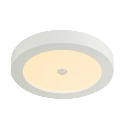 Globo 41605-18S - LED Utomhus Takbelysning med sensor PAULA 1xLED/18W/230V