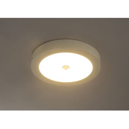Globo - LED taklampa för utomhusbruk med sensor, LED/18W/230V, IP44