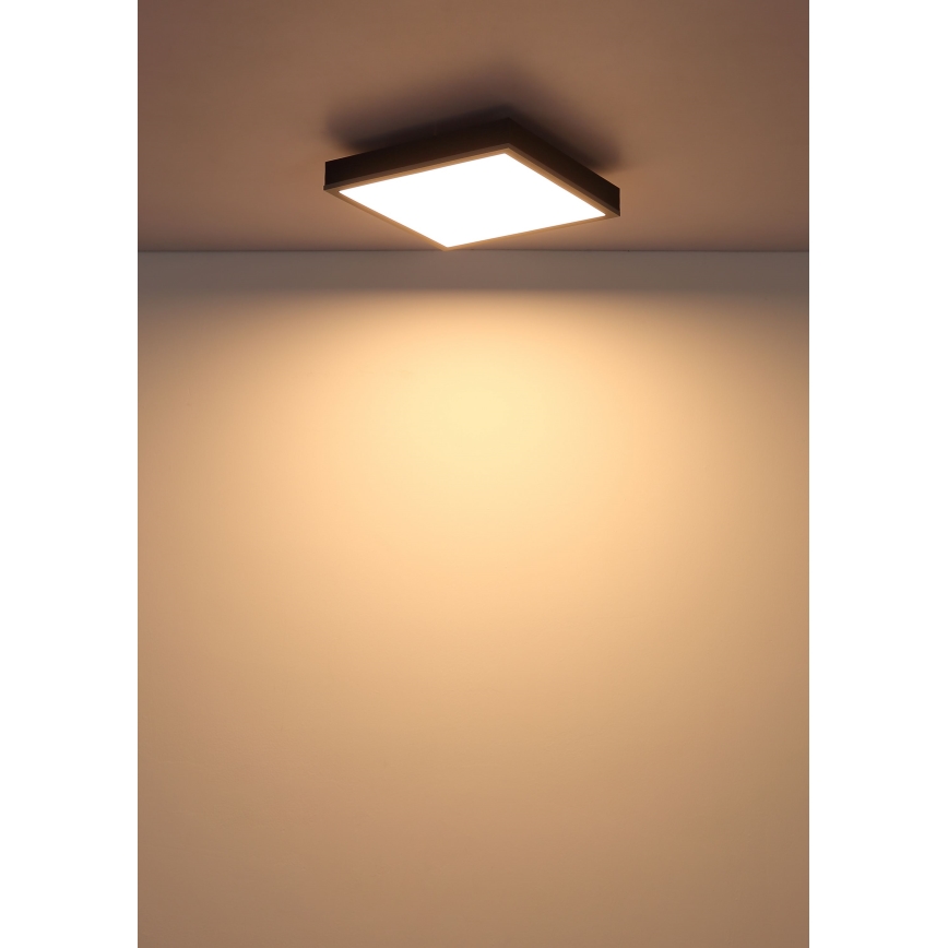 Globo - LED taklampa LED/12W/230V 3000K 30x30 cm