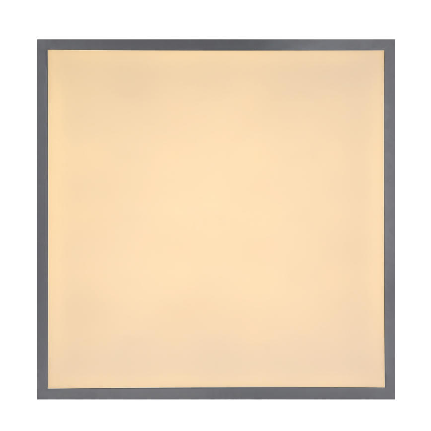 Globo 416080D2 - LED Takbelysning DORO LED/24W/230V