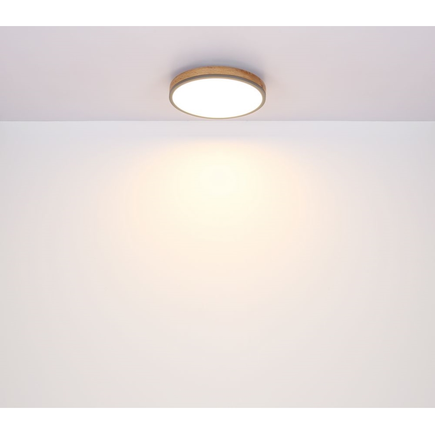 Globo - LED taklampa DORO LED/12W/230V d. 30 cm