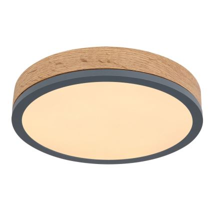 Globo - LED taklampa DORO LED/12W/230V d. 30 cm