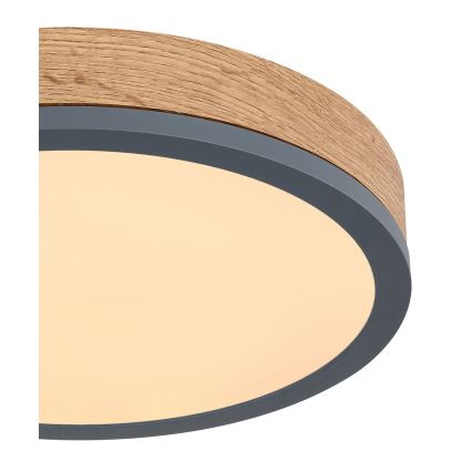 Globo - LED taklampa DORO LED/12W/230V d. 30 cm