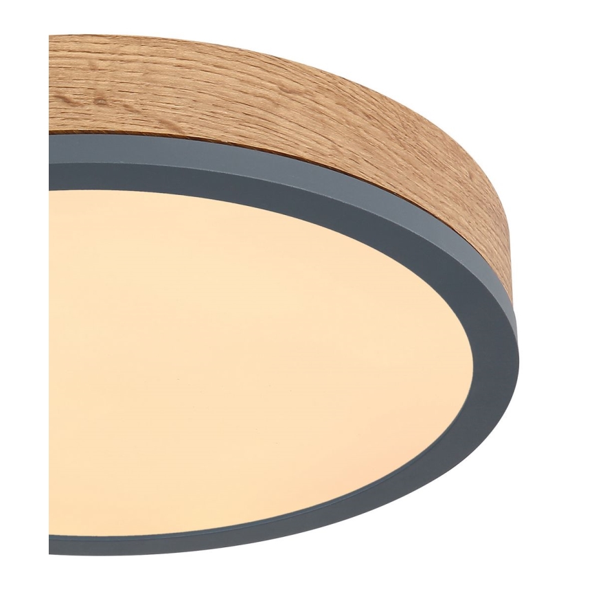 Globo - LED taklampa DORO LED/12W/230V d. 30 cm