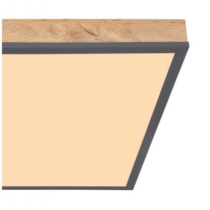 Globo - LED taklampa LED/24W/230V