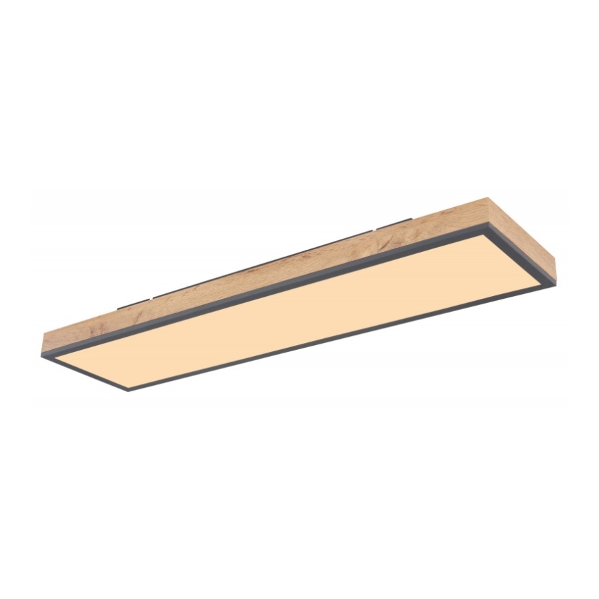 Globo - LED taklampa LED/24W/230V