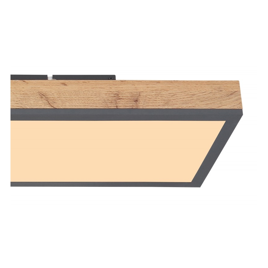 Globo - LED taklampa LED/24W/230V