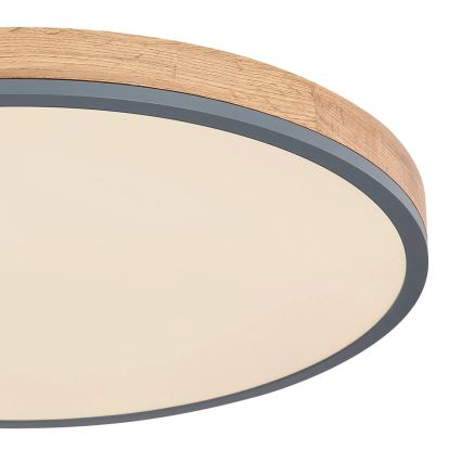 Globo - LED Dimbar taklampa LED/40W/230V 2700-6500K diameter 60 cm + fjärrkontroll brun/grå