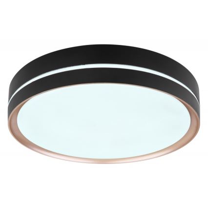 Globo - LED Dimbar taklampa LED/24W/230V + fjärrkontroll