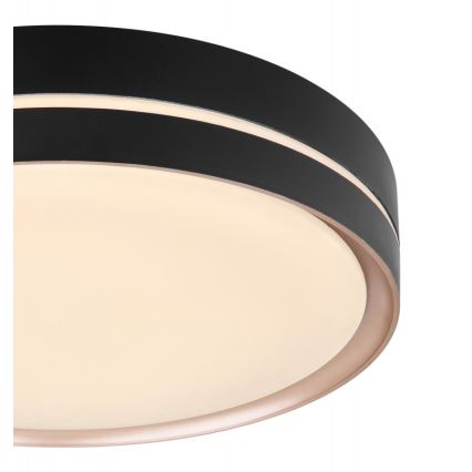 Globo - LED Dimbar taklampa LED/24W/230V + fjärrkontroll