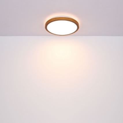 Globo - LED Taklampa LED/12W/230V 307 mm 3000/4500/6000K