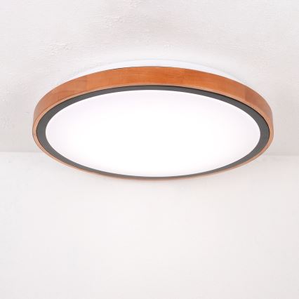 Globo - LED taklampa LED/24W/230V 3000/4500/6000K Ø 43,7 cm