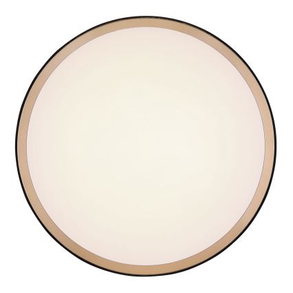 Globo - LED taklampa LED/12W/230V 3000/4500/6000K diameter 30 cm