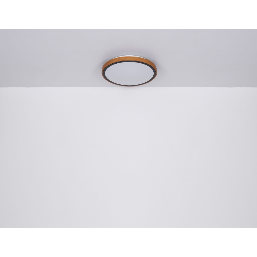 Globo - LED taklampa LED/12W/230V 3000/4500/6000K diameter 30 cm