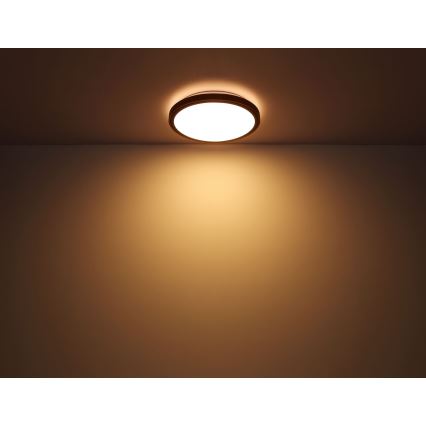 Globo - LED taklampa LED/24W/230V 3000/4500/6000K diameter 42 cm