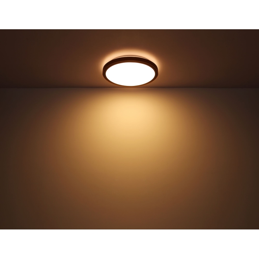 Globo - LED taklampa LED/24W/230V 3000/4500/6000K diameter 42 cm